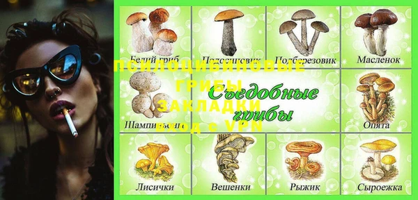 прущие крисы Арсеньев