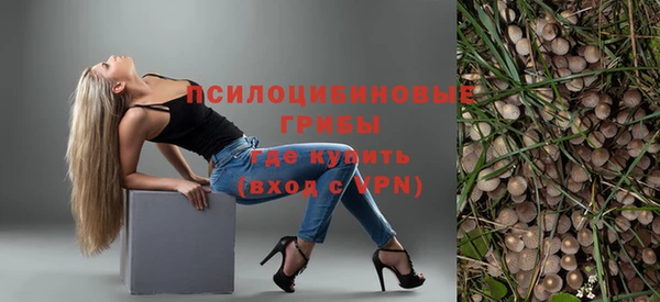 прущие крисы Арсеньев