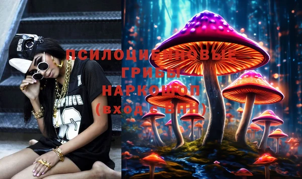 прущие крисы Арсеньев